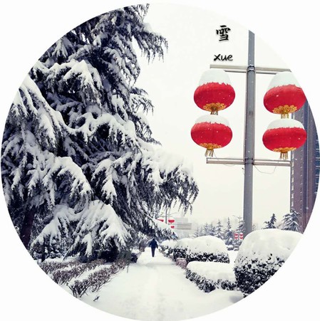 雪，寒冬里的溫柔