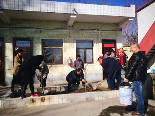 陜煤建設天工公司各項目部積極開展植樹活動 綠化施工環(huán)境