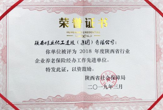 陜煤建設(shè)榮獲省級(jí)養(yǎng)老保險(xiǎn)經(jīng)辦工作先進(jìn)單位