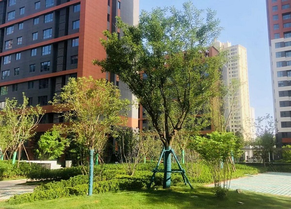 陜煤建設(shè)綠宇公司：藍(lán)山水岸項(xiàng)目收尾顯擔(dān)當(dāng)  大干快干展新顏