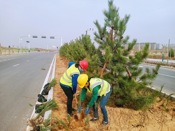 陜煤建設承建的科創(chuàng)新城市政一期工程N1項目經理部全面啟動綠化作業(yè)
