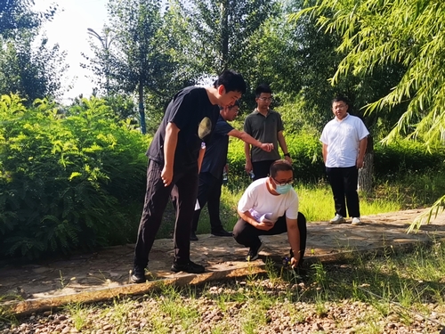 陜煤建設(shè)榆林公司承建的科創(chuàng)新城同慧運(yùn)動(dòng)公園項(xiàng)目綠化工程通過(guò)年度驗(yàn)收