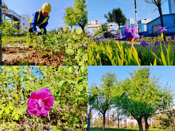 陜煤建設(shè)洗選煤運營公司紅柳林洗煤廠項目部：強化綠色三大支柱  筑牢綠色生態(tài)屏障