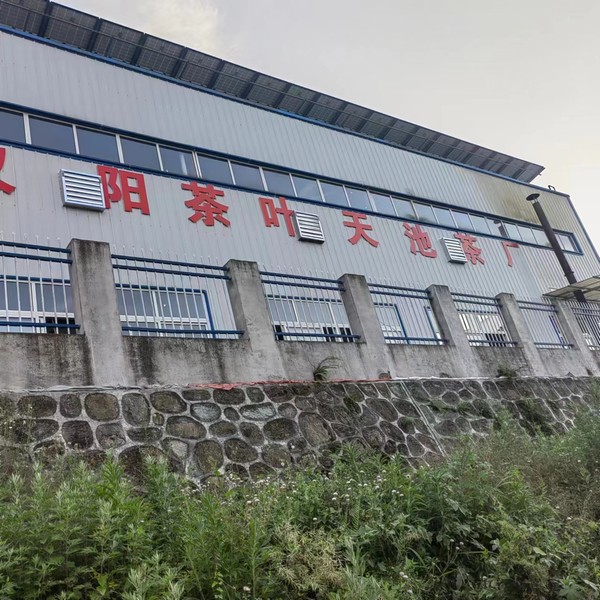 實事一件接著一件，跑出鄉(xiāng)村振興“加速度”