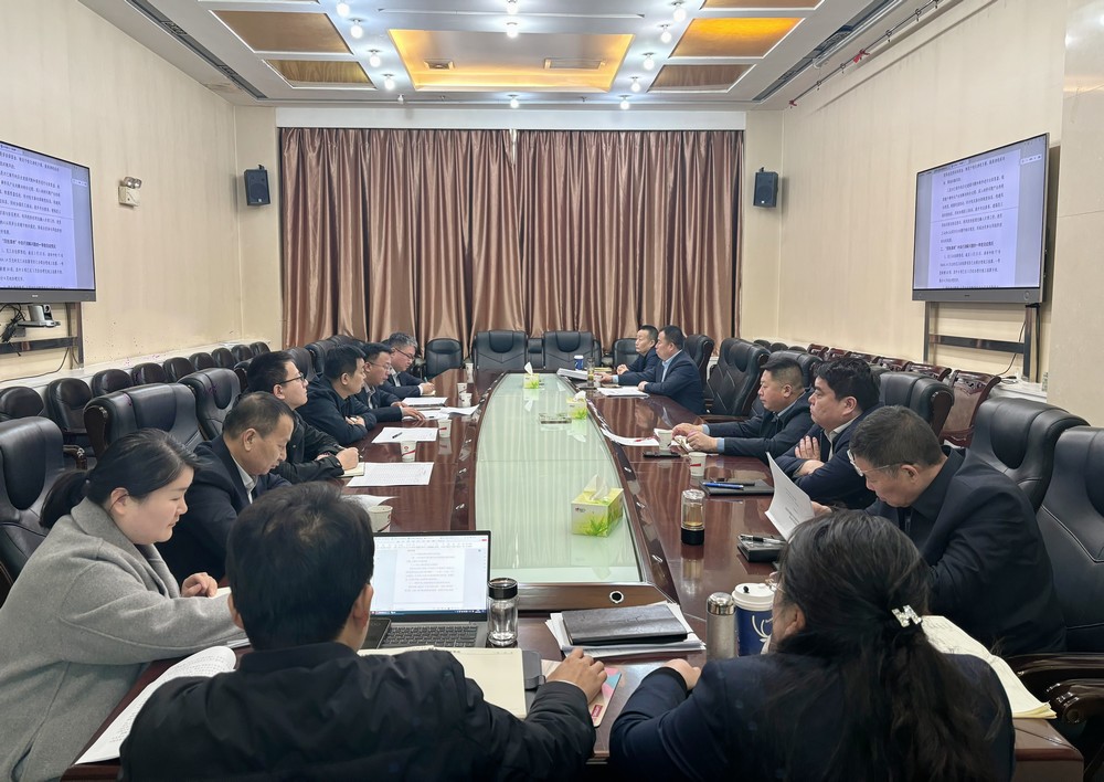 陜煤建設(shè)召開2025年第一次四張清單推進會