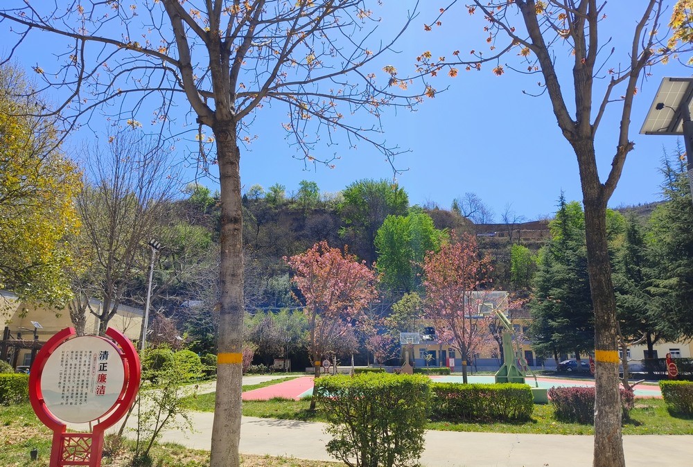 陜煤建設(shè)銅煤公司：春韻盈院 奮楫新程